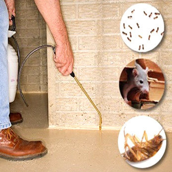 General Pest Control – Dehradun Pest Control Services